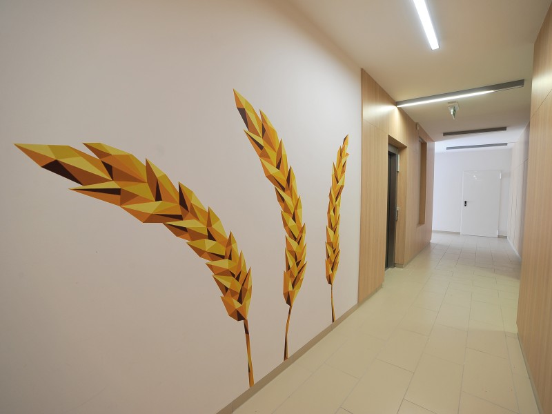 Interior painting in Warsaw Pro Development | Residential Nowe Zamienie | Portfolio