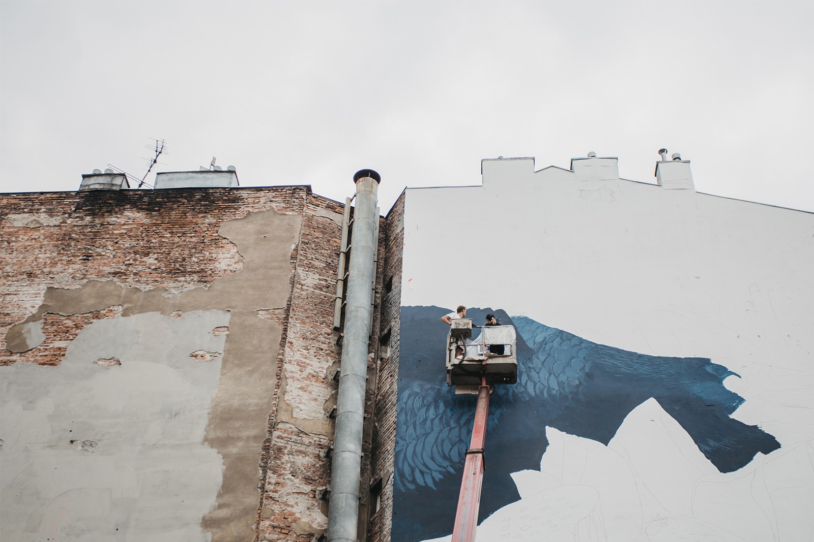 Malujemy mural w Krakowie dla Medicine.jpg | Medicine | Portfolio