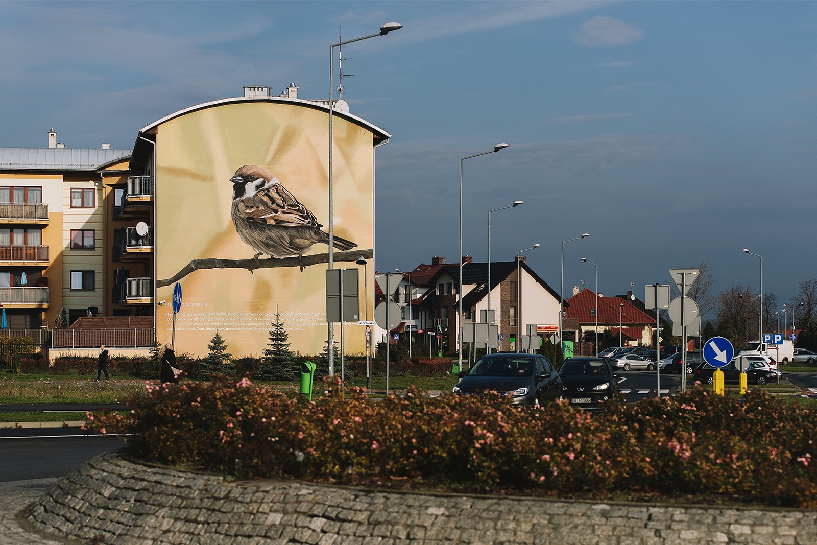 Mural fotorealistyczny ul. Wileńska w Lubinie | Kampania informacyjno-edukacyjna  | Portfolio