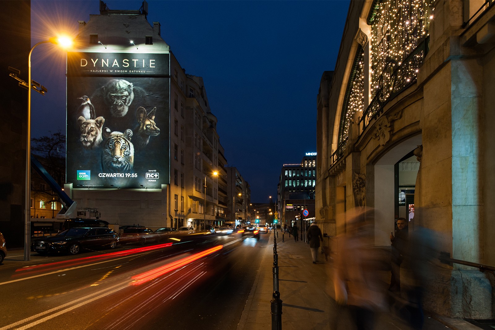 Mural reklamowy dla BBC Earth przy ul. Pięknej w Warszawie w nocy | Dynastie | Portfolio