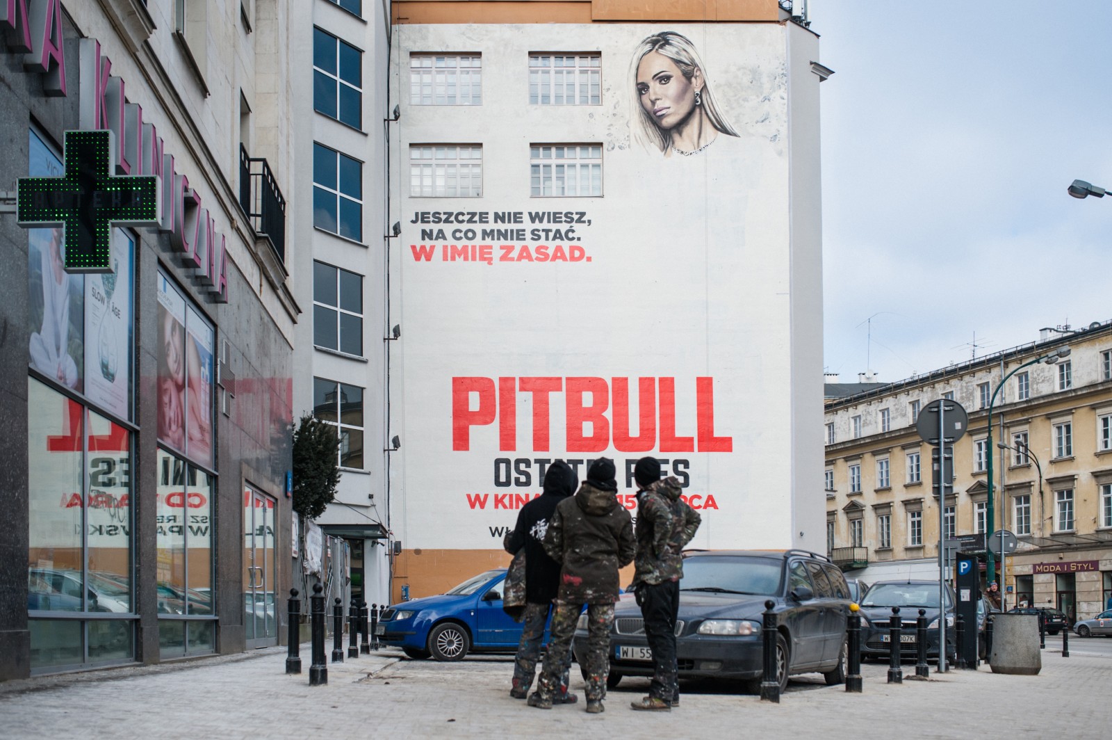 1. painting works on the creation of a muralPainting works on the mural Pitbull for Ent One | Pitbull. Ostatni pies | Portfolio