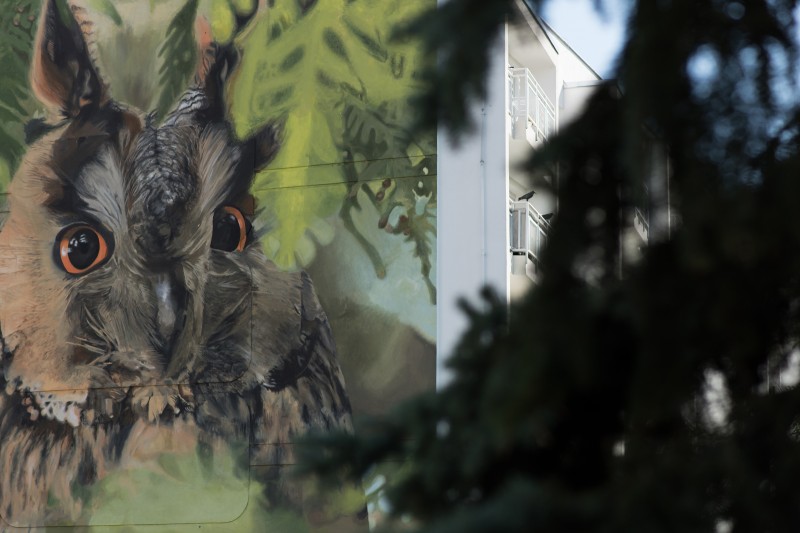 Mural z sową na osiedlu Przylesie w Lubinie | Kampania informacyjno-edukacyjna  | Portfolio